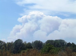 Day 5, August 30 - Pyrocumulus cloud from the Station Fire seen from the BFS