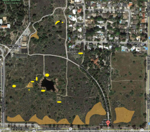 Areas from which C. melitensis was removed. Yellow = isolated patches removed by volunteers. Orange shading = areas weed-whacked by Johnny's Tree Service. Nancy Hamlett.
