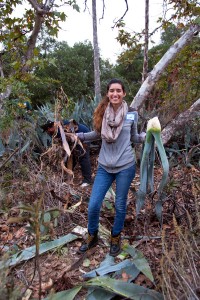 Desiree Lopez (Citrus College) carries out Century Plants.
