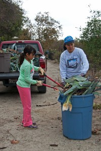 Elena assists Gloria Cangahuala in cutting up Century Plants for disposal.