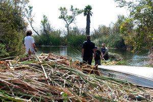 Anthony Bonno (Citrus) and Tim Cox get ready to add cattails from the boats to the growing pile. Nancy Hamlett.