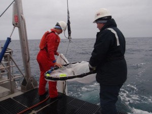 Kristen and Harry deploying the zooplankton net. The flowmeter is visible in the middle of the net hoop. 