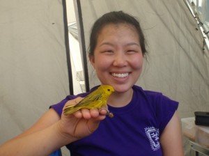 Charlotte with a Yellow Warbler