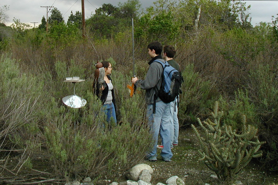 Pomona Ecology 41 E students working in sage scrub.