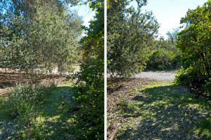 Before and after: Path on east side of the classroom. Nancy Hamlett.