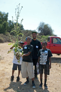 Now, that's a thistle!  TJ shows off a large Italian Thistle with Gabe, Jaylen, and G. Kyette Bryant (Mt. SAC). Nancy Hamlett.