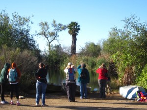 The participants of the bird tour scanning the lake. Later they were lucky enough to spot a merlin. ©Wallace Meyer.