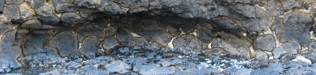 -- pillow basalts forming cliff and marine terrace, Oamaru, NZ