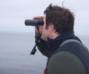 Augie searching for a murrelet