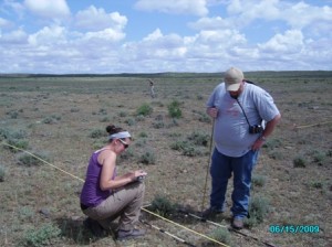 Lauren and Matt surveying the veg (foreground), Marisa taking height measurements (background).