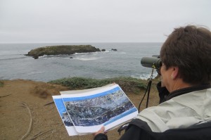 Diane of Madrone Audubon monitors Gualala Point Island